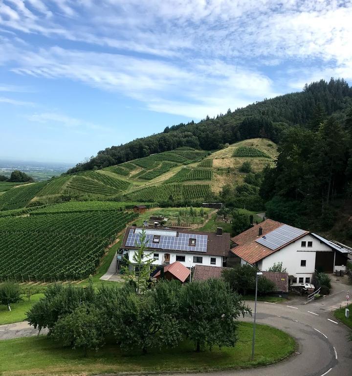 Restaurant Jägersteig